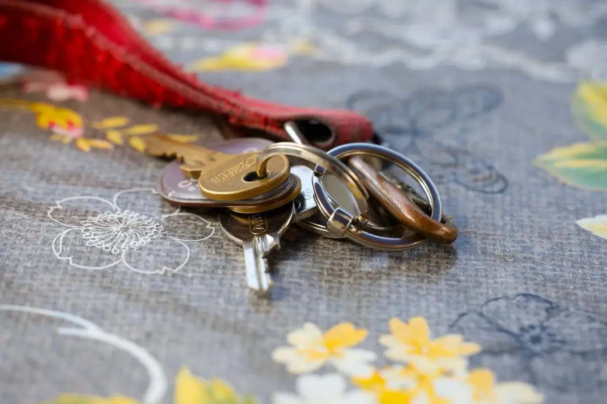 Full set of keys for the household